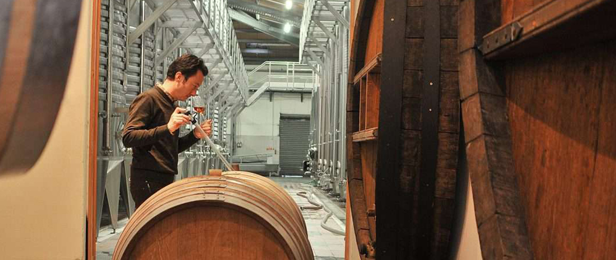 expertise metier murgier 2