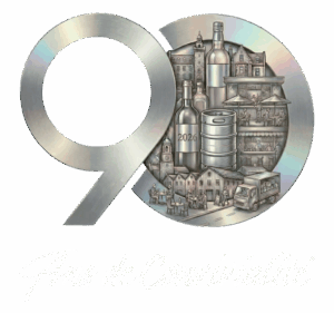 logo 90