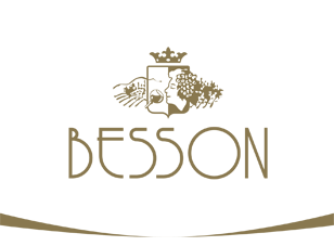logo besson